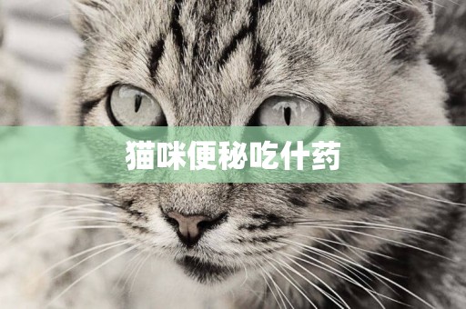 貓咪便秘吃什藥