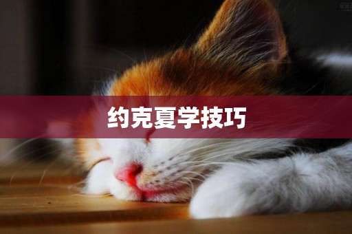 約克夏學技巧