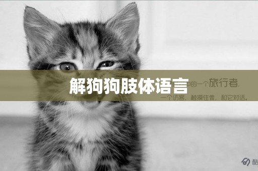解狗狗肢體語言