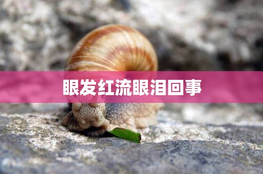 眼發紅流眼淚回事