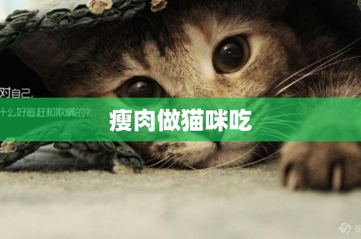 瘦肉做貓咪吃