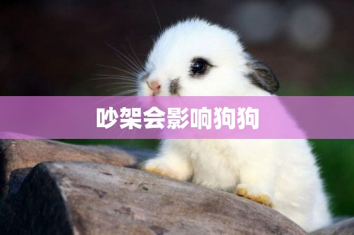 吵架會影響狗狗