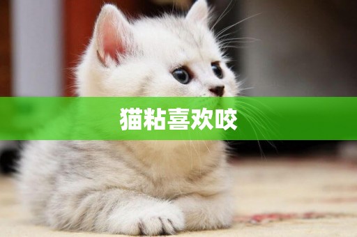 貓粘喜歡咬