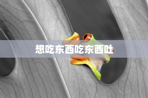 想吃東西吃東西吐