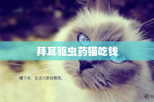 拜耳驅蟲藥貓吃錢