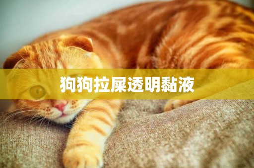 狗狗拉屎透明黏液