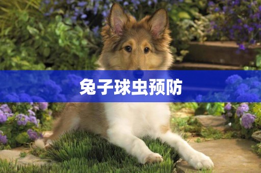 兔子球蟲預防