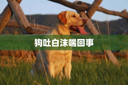 狗吐白沫喘回事