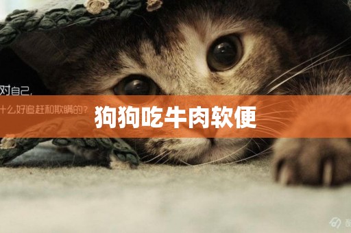 狗狗吃牛肉軟便