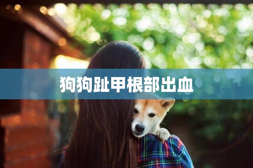 狗狗趾甲根部出血