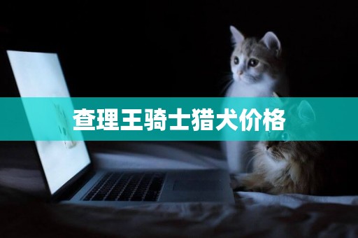 查理王騎士獵犬價格