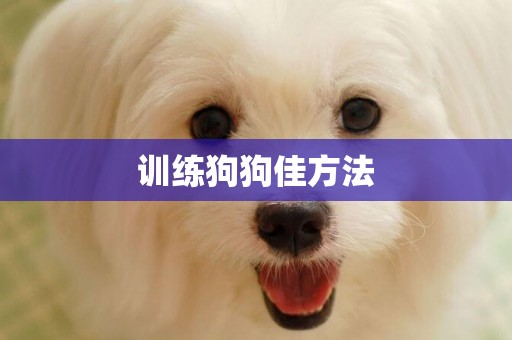 訓練狗狗佳方法
