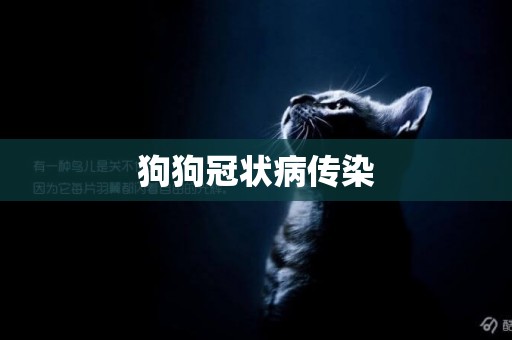 狗狗冠狀病傳染