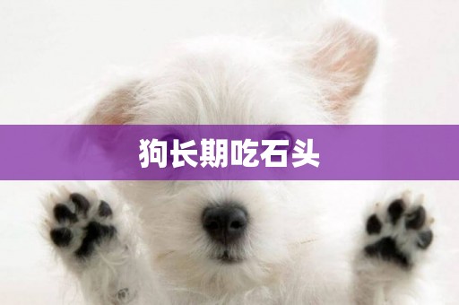 狗長期吃石頭