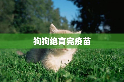 狗狗絕育完疫苗