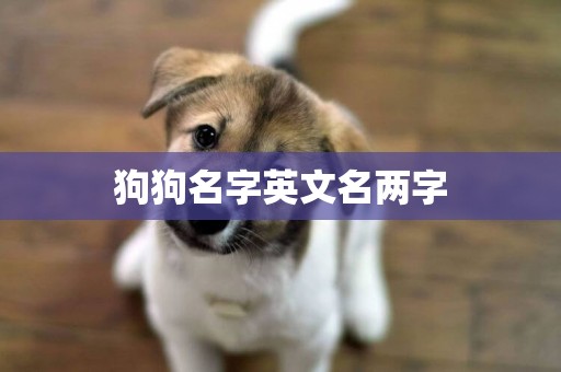 狗狗名字英文名兩字