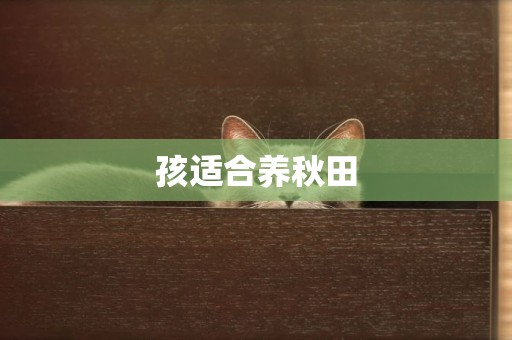 孩適合養秋田
