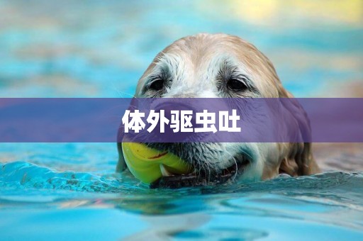 體外驅蟲吐