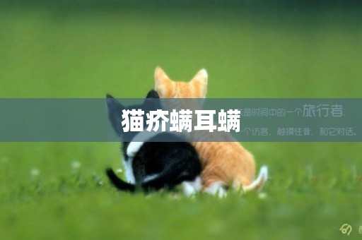 貓疥螨耳螨
