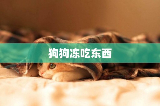 狗狗凍吃東西