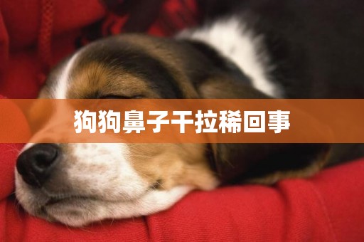狗狗鼻子干拉稀回事