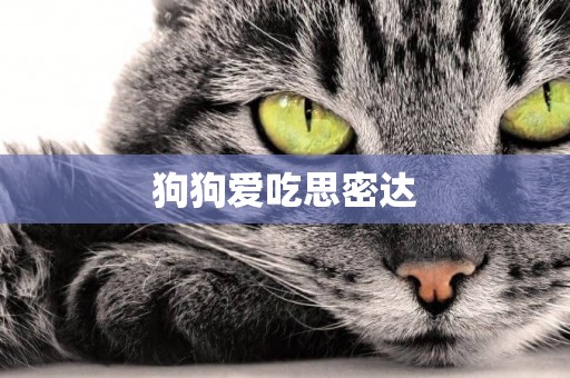 狗狗愛吃思密達