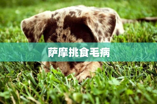 薩摩挑食毛病