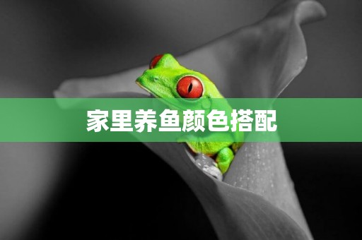 家里養魚顏色搭配