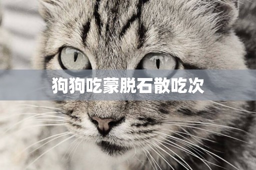狗狗吃蒙脫石散吃次