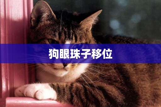 狗眼珠子移位