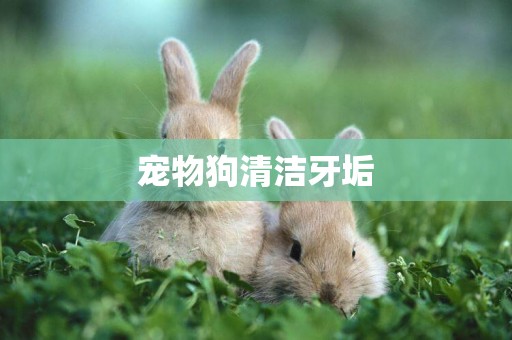 寵物狗清潔牙垢