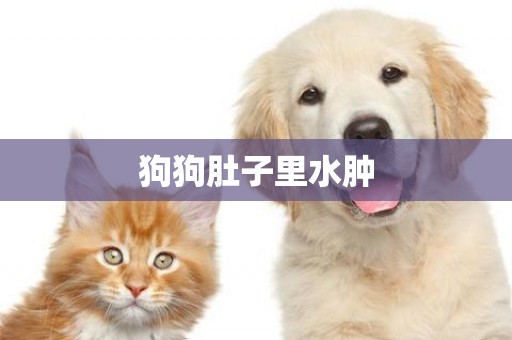 狗狗肚子里水腫