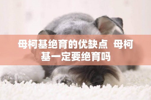 母柯基絕育的優缺點  母柯基一定要絕育嗎