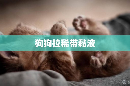 狗狗拉稀帶黏液