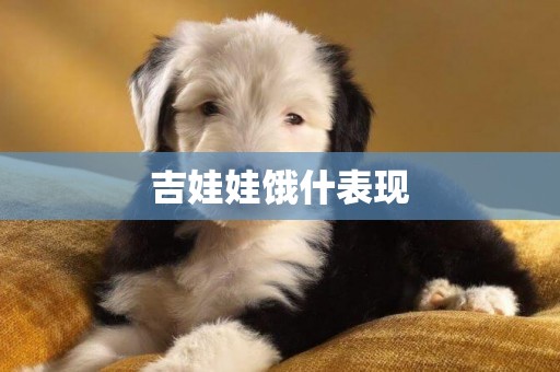 吉娃娃餓什表現