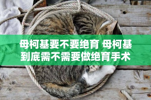 母柯基要不要絕育 母柯基到底需不需要做絕育手術
