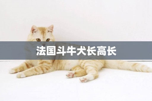 法國斗牛犬長高長