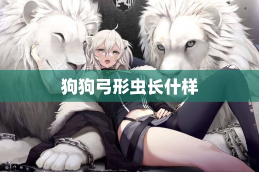 狗狗弓形蟲長什樣