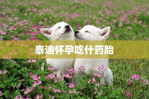 泰迪懷孕吃什藥胎