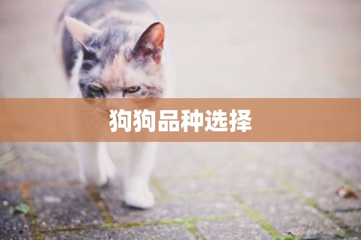 狗狗品種選擇