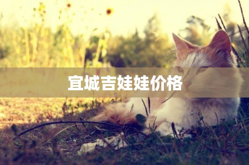 宜城吉娃娃價格