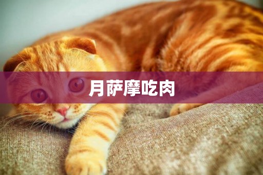 月薩摩吃肉