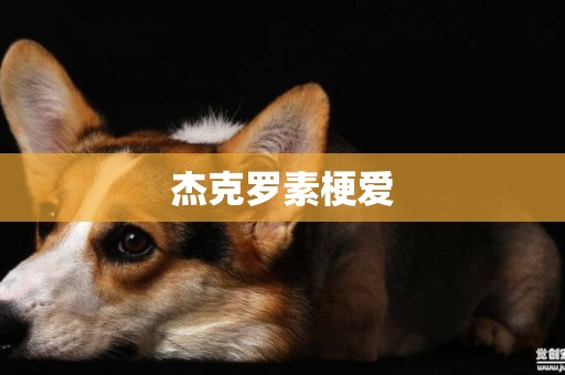 杰克羅素梗愛