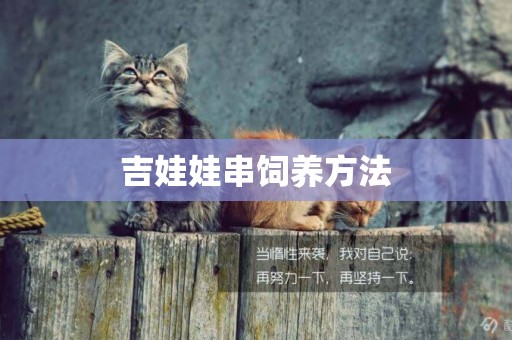 吉娃娃串飼養方法