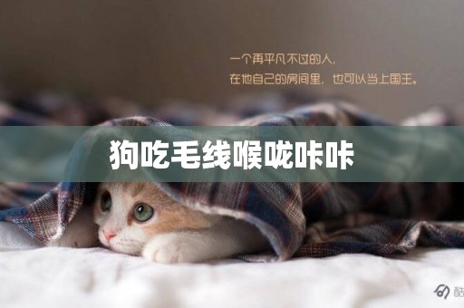 狗吃毛線喉嚨咔咔