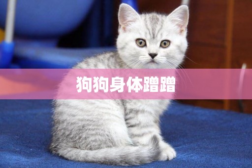 狗狗身體蹭蹭