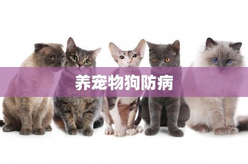 養寵物狗防病