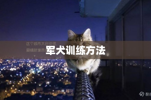 軍犬訓練方法