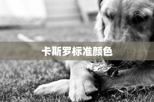 卡斯羅標準顏色