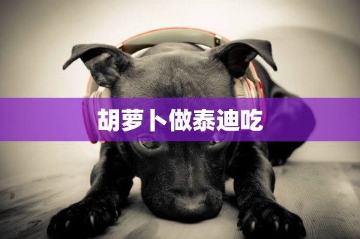 胡蘿卜做泰迪吃